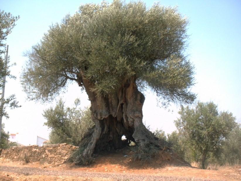 Abetarda CC Villa São Marcos da Ataboeira Dış mekan fotoğraf
