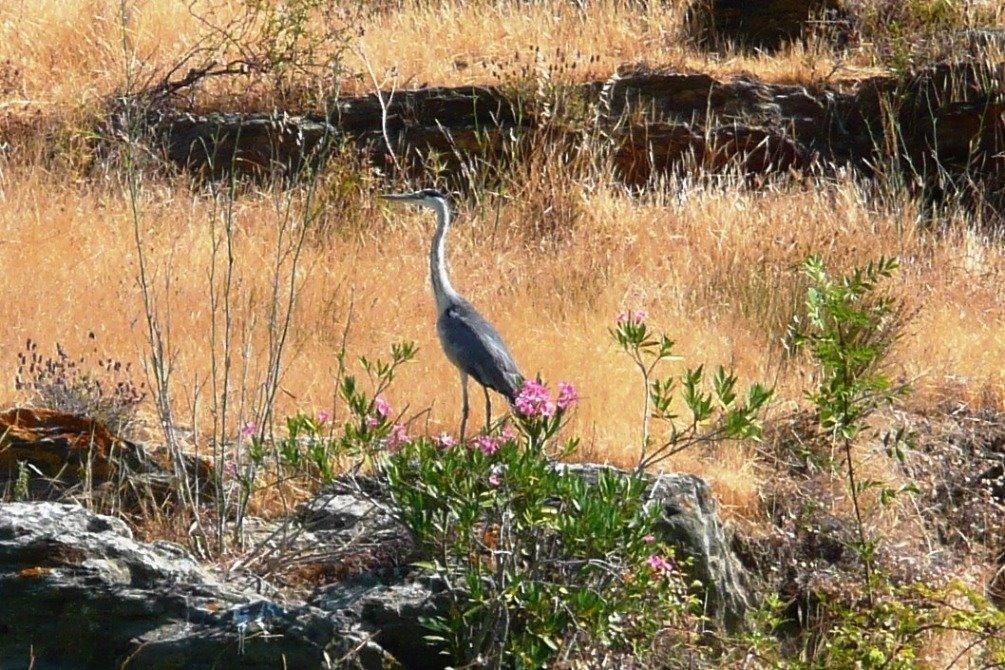 Abetarda CC Villa São Marcos da Ataboeira Dış mekan fotoğraf