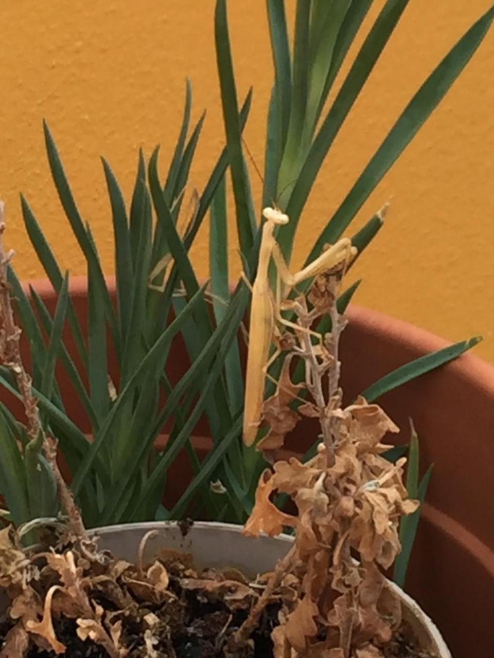 Abetarda CC Villa São Marcos da Ataboeira Dış mekan fotoğraf